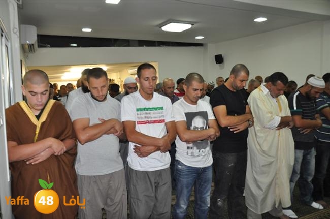 tarawee7 fateh mosqueeq (1).JPG